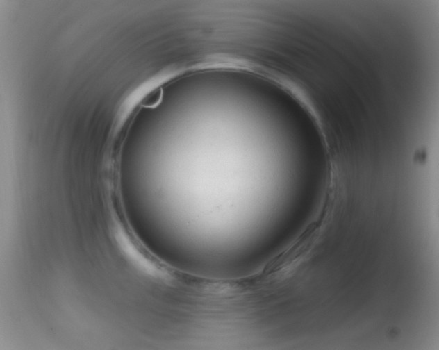 X0000114651003200910201504