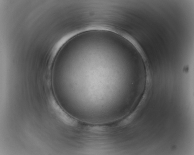 X0000114651004200910201504