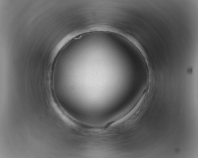 X0000114651005200910201504