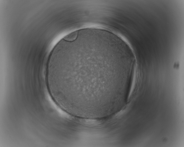 X0000114651007200910201504