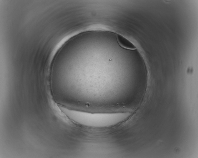 X0000114651008200910201504
