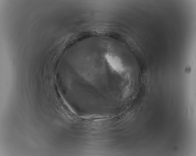 X0000114651009200910201503