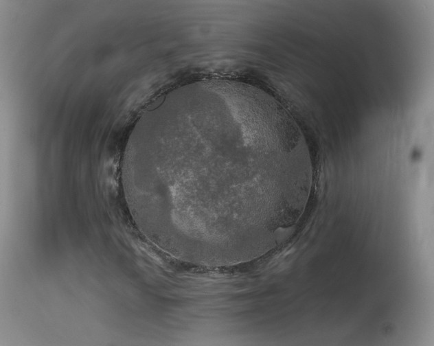 X0000114651010200910201503
