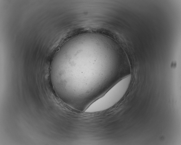 X0000114651012200910201504