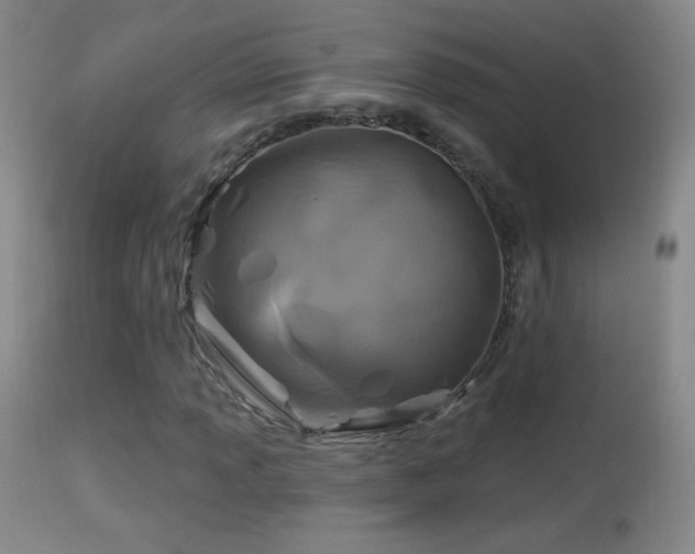 X0000114651013200910201504