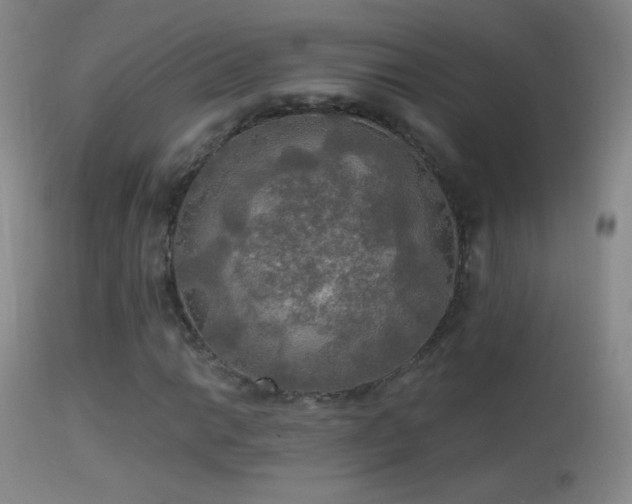 X0000114651014200910201504
