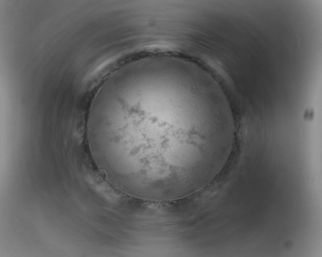 X0000114651015200910201504