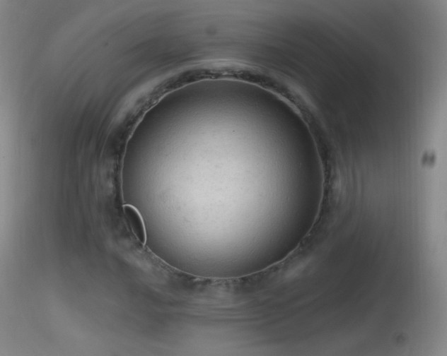 X0000114651016200910201504