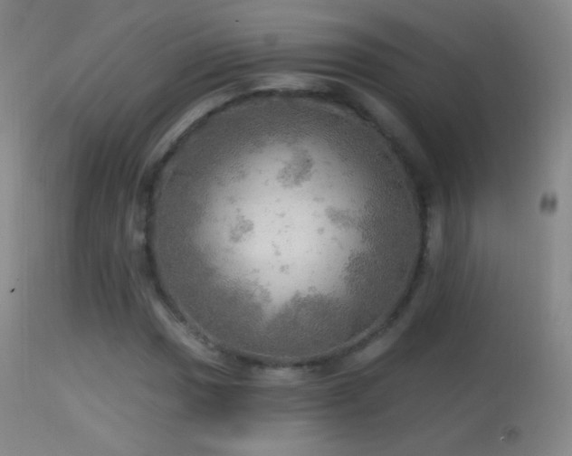 X0000114651017200910201504