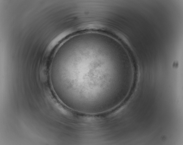 X0000114651018200910201504