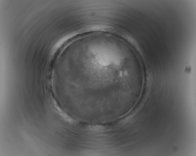 X0000114651019200910201504