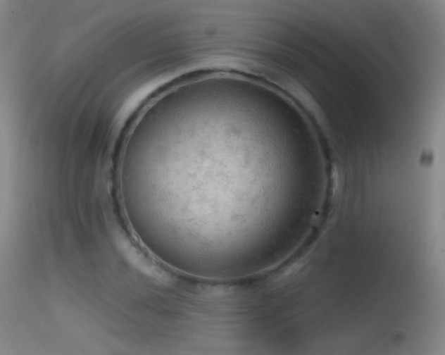X0000114651020200910201504