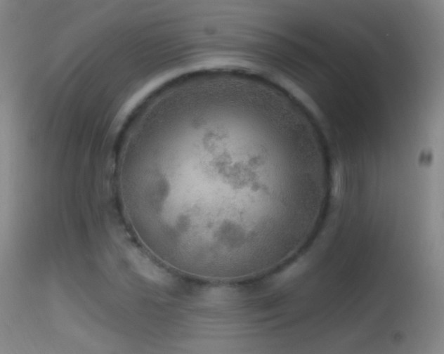 X0000114651021200910201504