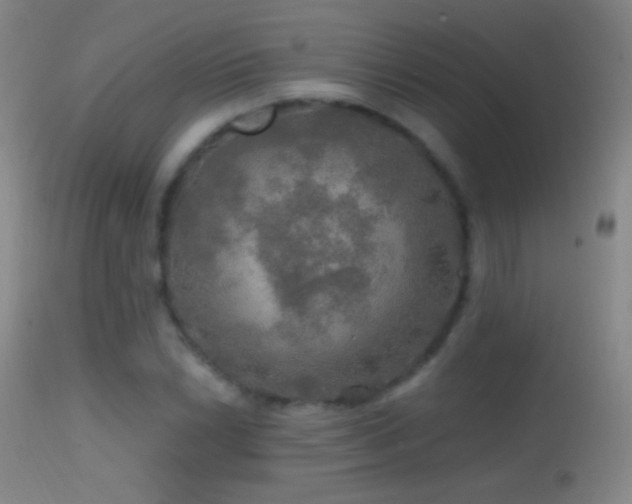 X0000114651022200910201504