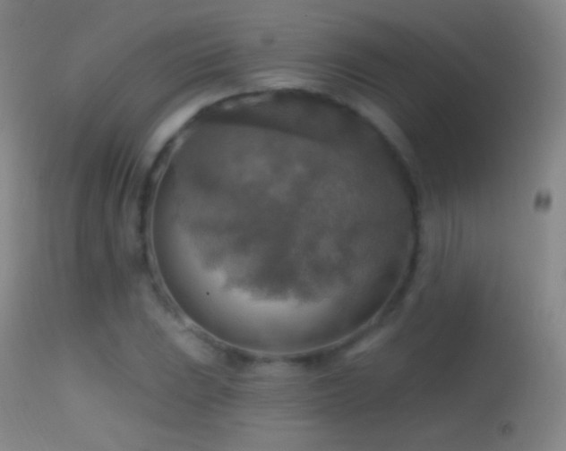 X0000114651023200910201504