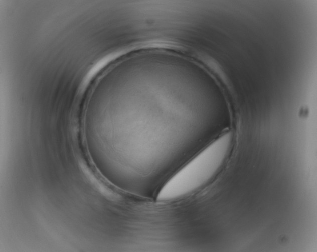 X0000114651024200910201504