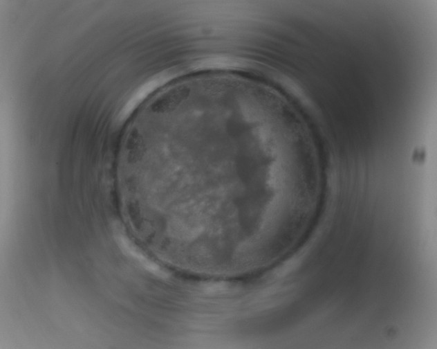 X0000114651025200910201504