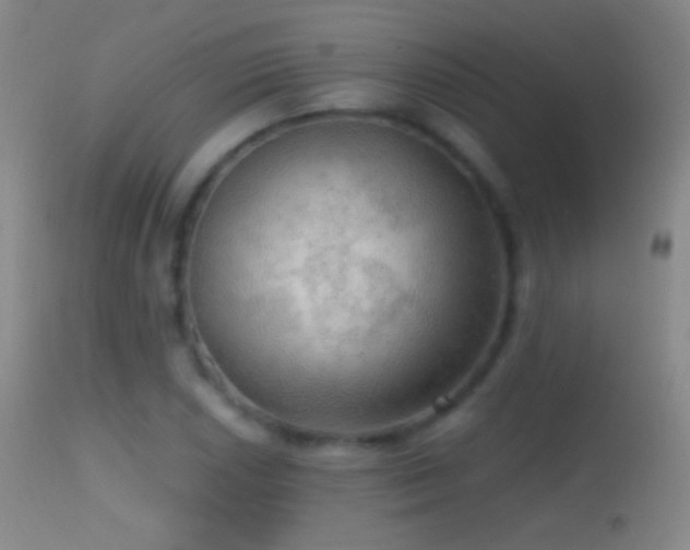 X0000114651026200910201504