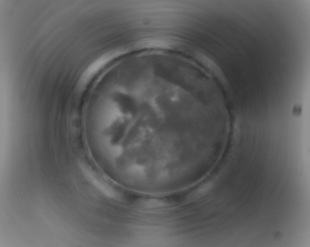X0000114651027200910201504