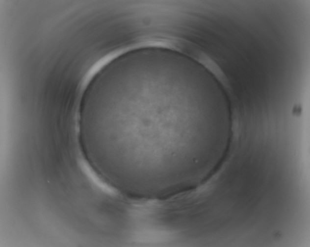 X0000114651028200910201504