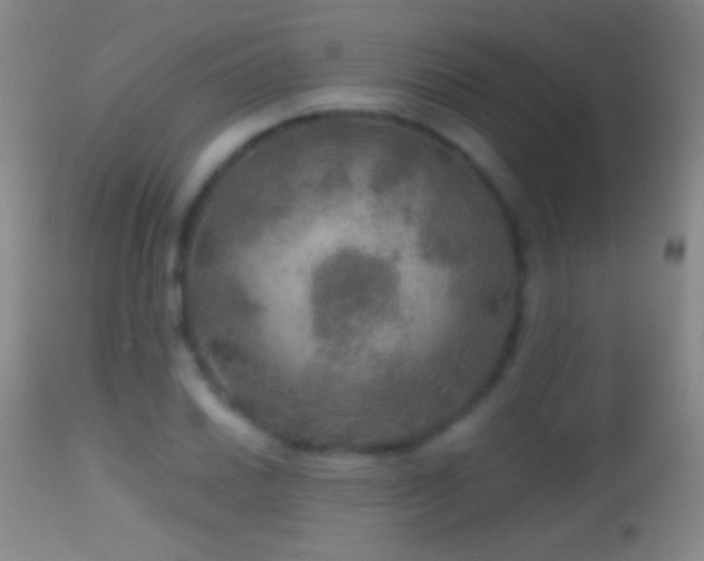 X0000114651030200910201504