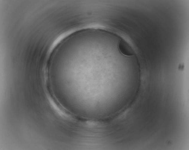 X0000114651032200910201504
