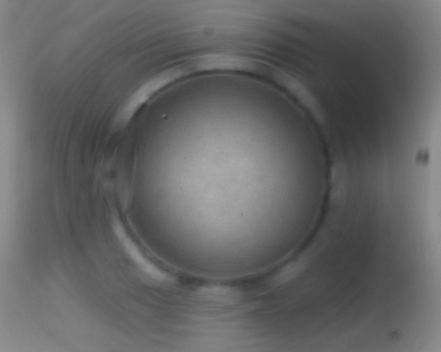 X0000114651033200910201504
