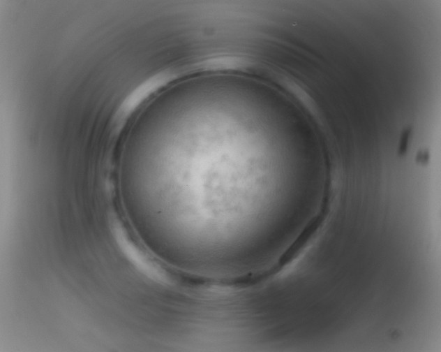 X0000114651034200910201504