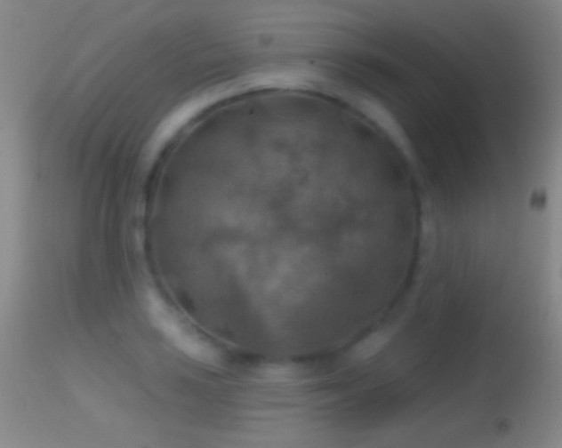 X0000114651035200910201504