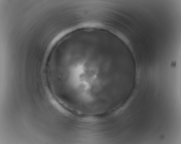 X0000114651037200910201504