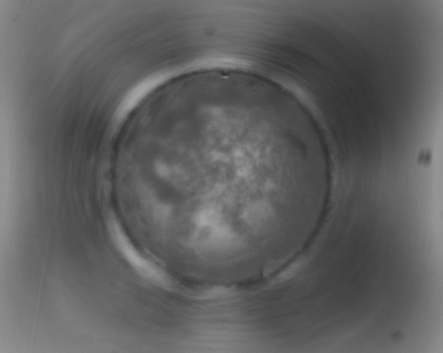 X0000114651038200910201504
