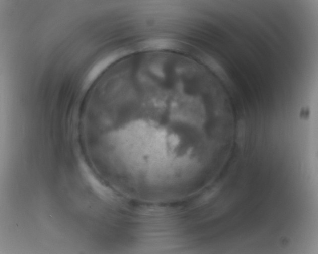 X0000114651039200910201504