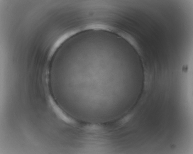 X0000114651040200910201504