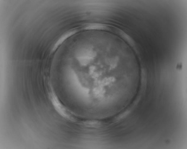 X0000114651041200910201504