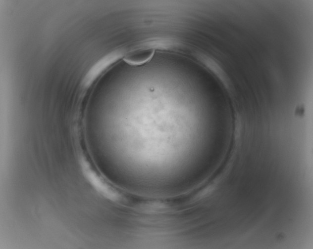 X0000114651042200910201504