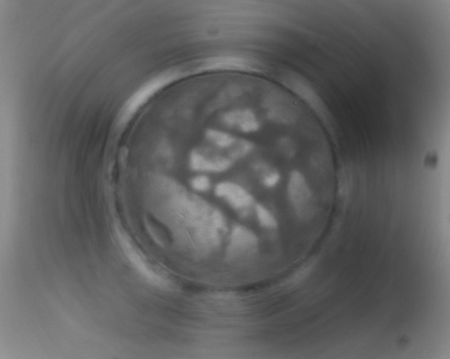 X0000114651043200910201504