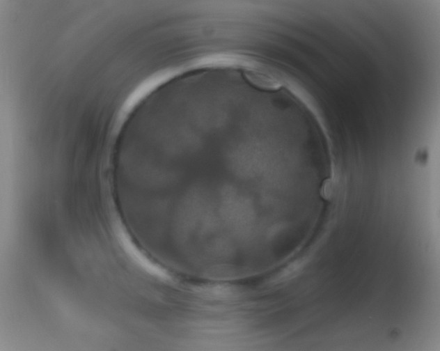 X0000114651045200910201504