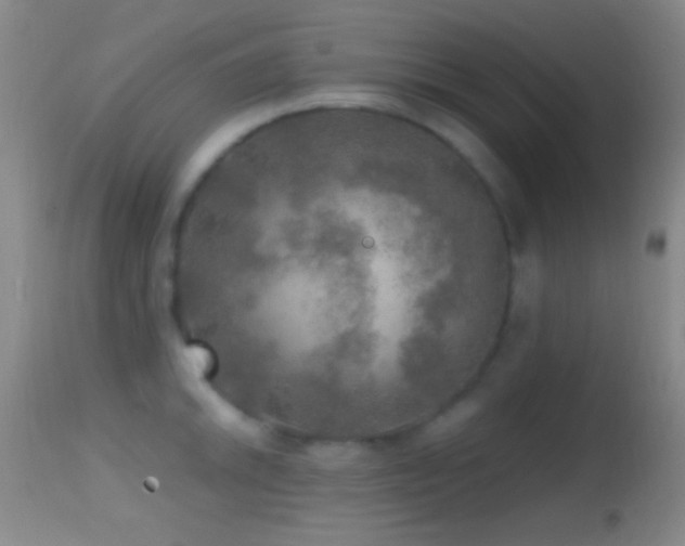 X0000114651046200910201504