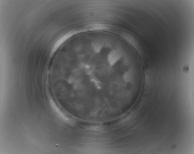 X0000114651047200910201504