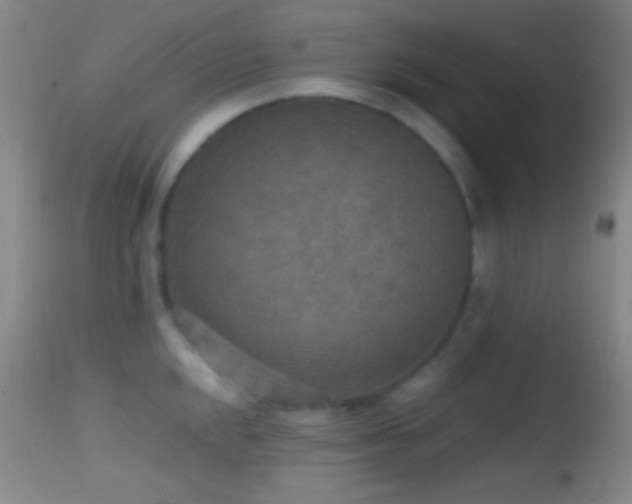 X0000114651048200910201504