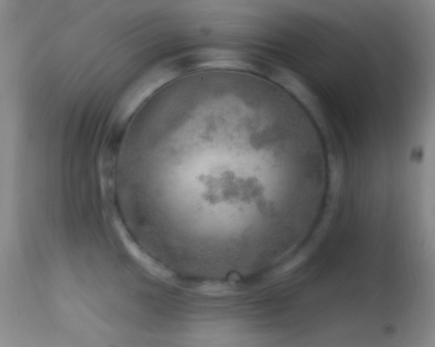 X0000114651049200910201504
