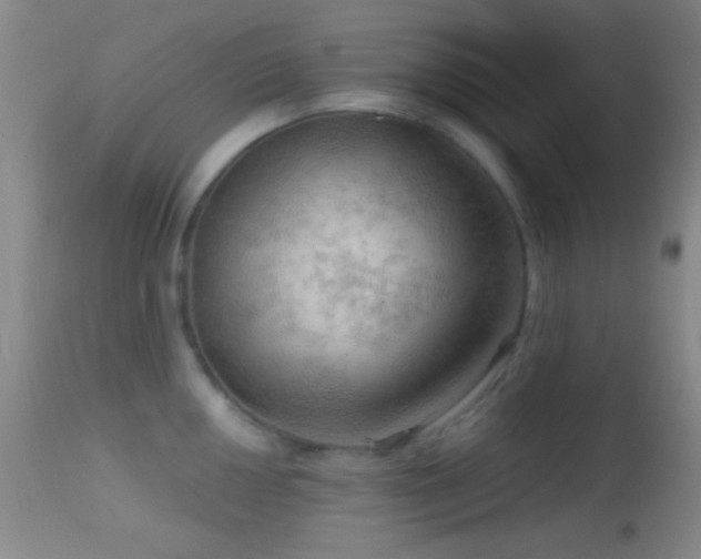 X0000114651050200910201504