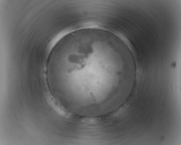 X0000114651051200910201504