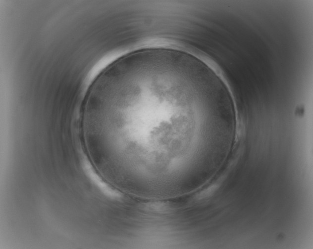 X0000114651053200910201504