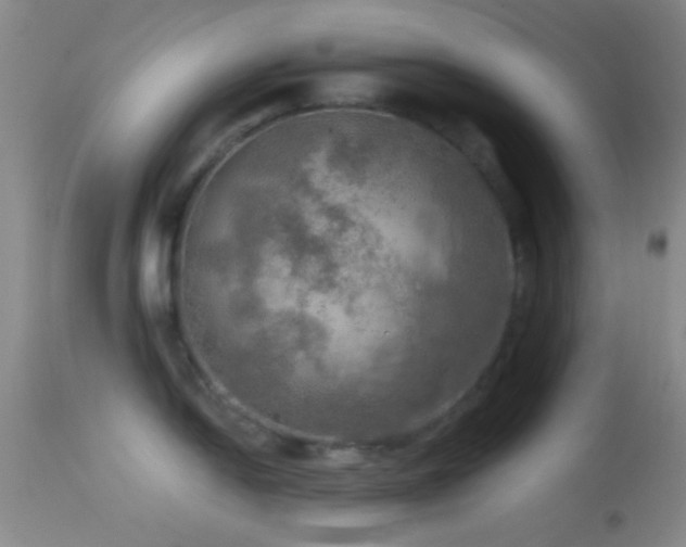 X0000114651054200910201504