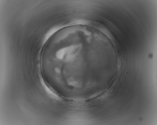 X0000114651055200910201504