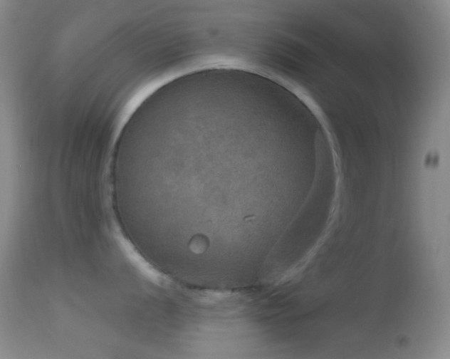 X0000114651056200910201504