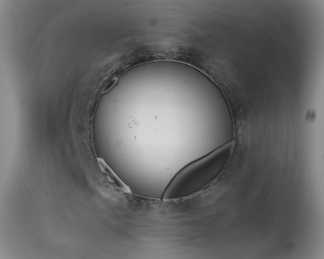 X0000114651057200910201503