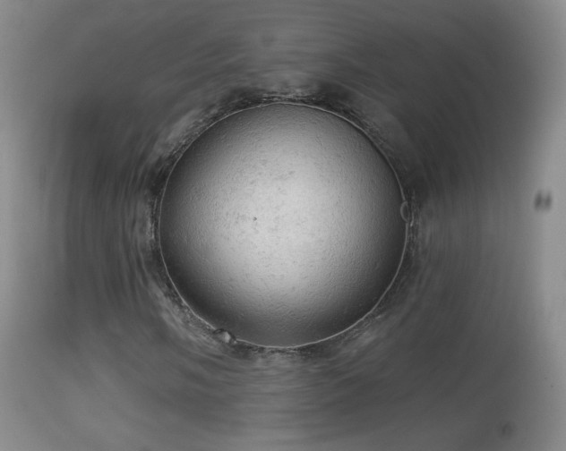 X0000114651058200910201503