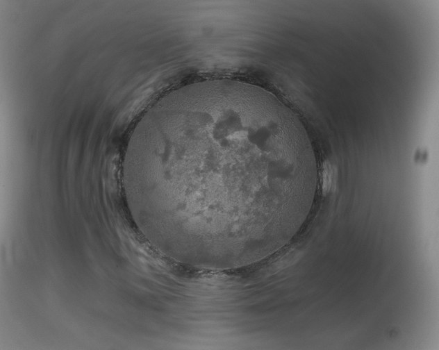 X0000114651059200910201503